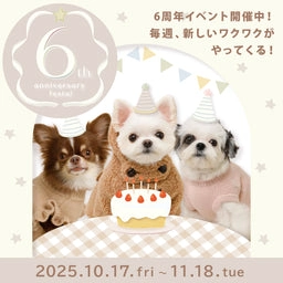 dog blanket for couch - Professional Guide and Review