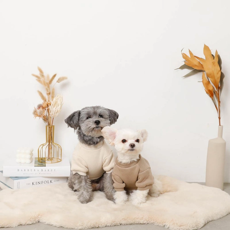 large litter trays for cats - Professional Guide and Review