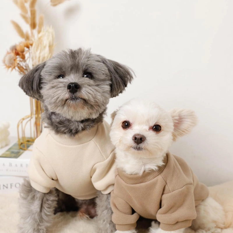 weiner dog carrier - Professional Guide and Review