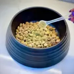 puzzle dog - Professional Guide and Review