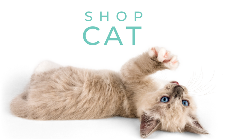 solid wood cat tower - Professional Guide and Review