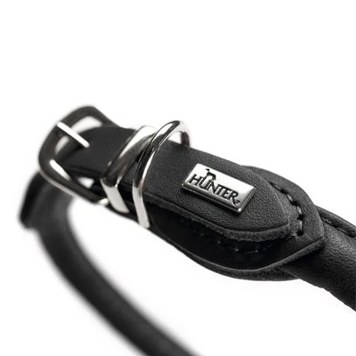 close-up of split-level human bed with dog bed showing thermal airflow