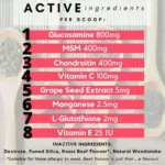 dog products prototyping services - Professional Guide and Review