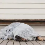 T&S Pet Blanket, Moonlight Grey - Image 8