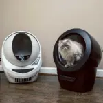 Automatic Litter-Robot 4, Black - Image 6