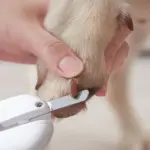 Michu LED Pet Nail Clipper - Image 2