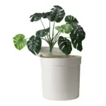 Moderna Hidden Planter Litter Box, Soft White - Image 3