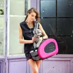 Ibiyaya EVA 5-in-1 Combo Pet Carrier, Pram & Backpack, Chocolate - Image 9