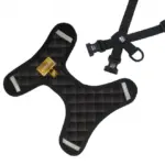 Personalised Pet Harness - Classic Chewnel - Image 2