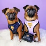 Personalised Pet Harness - Classic Chewnel - Image 6