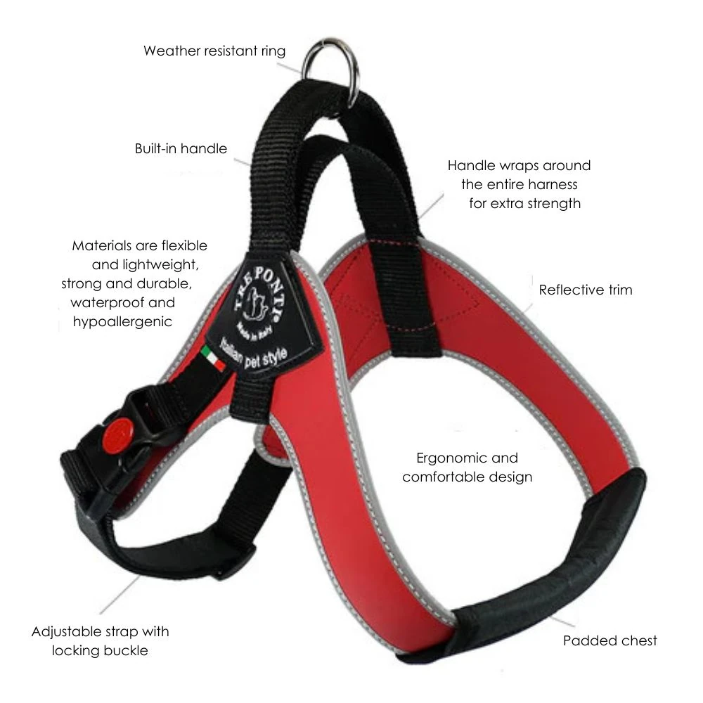 dog harness and seat belt crash test comparison chart 2025