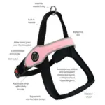Tre Ponti Primo Adjustable Step In Dog Harness, Red - Image 6
