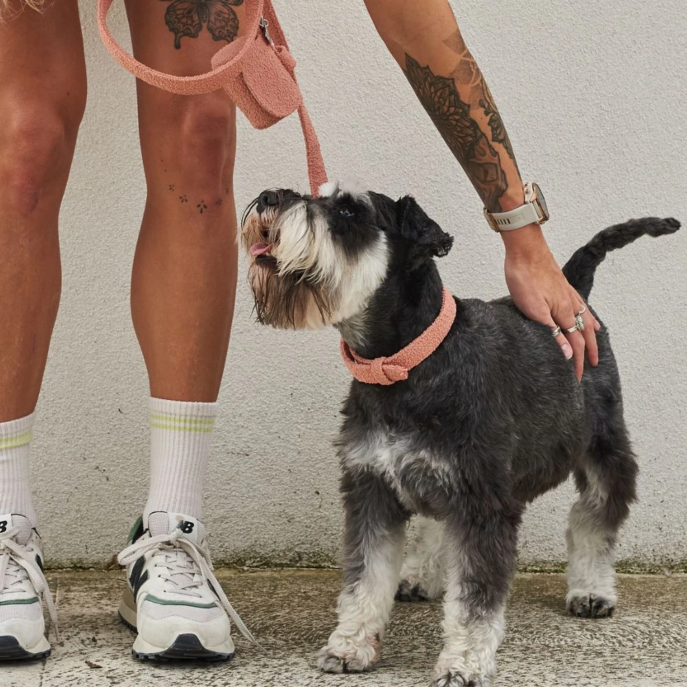 best dog leads comparison for Australian dog owners