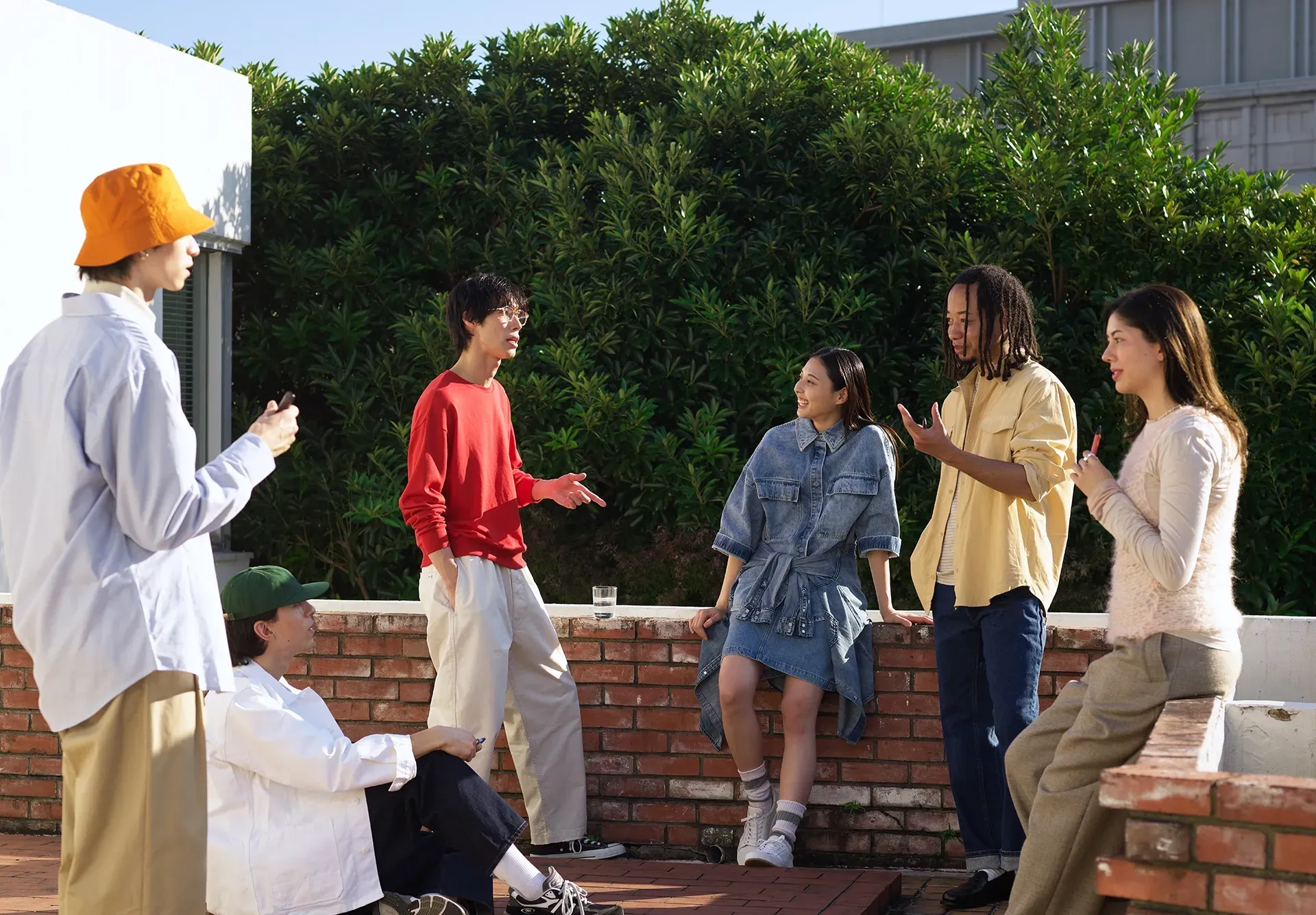 cat cube introduction steps for Australian cats