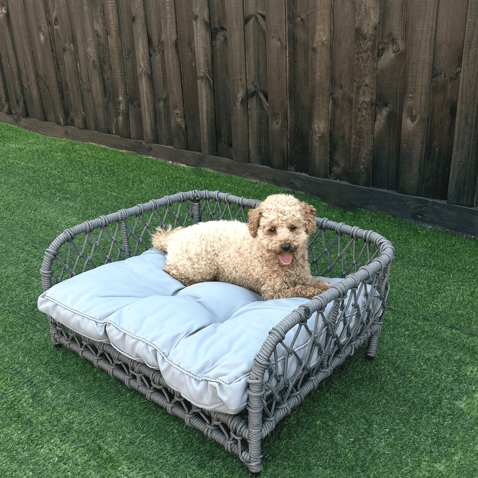 buy warm dog bed - Australian adult using warm dog bed during outdoor activities