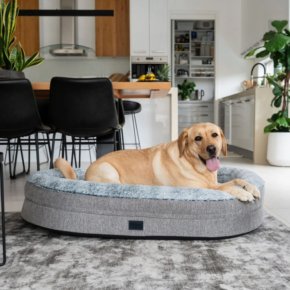 eaf6b1ba-7306-4503-9aa7-964f7d5b9ec4_2000x.webp Orthopaedic Memory Rest Dog Bed, Artic Faux Fur - Image 1