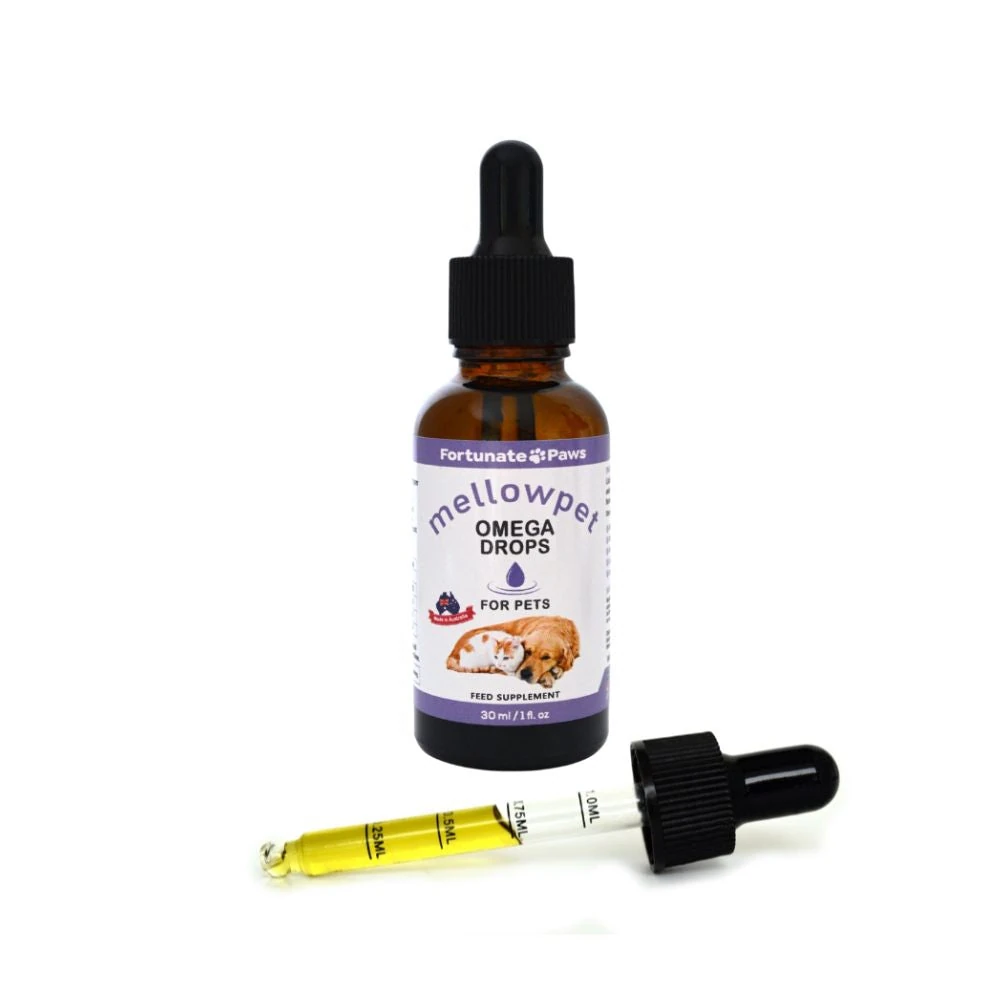 cat toys online helping anxious rescue cats relax