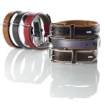 Hunter Canadian Elk Leather Dog Collar, Black - Image 5