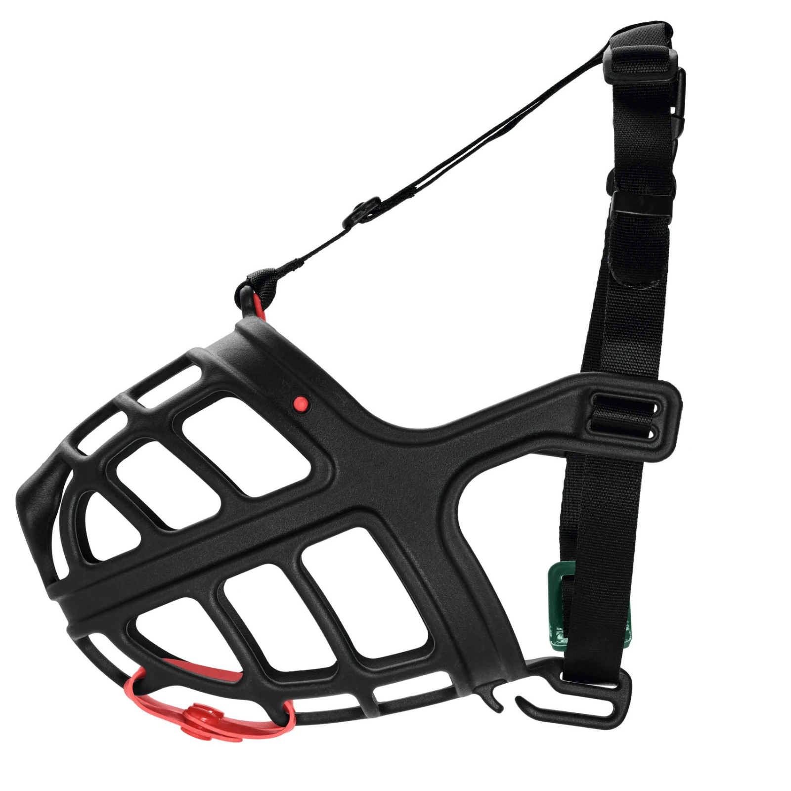 Australian shepherd using elevated feeder set in outdoor patio setting