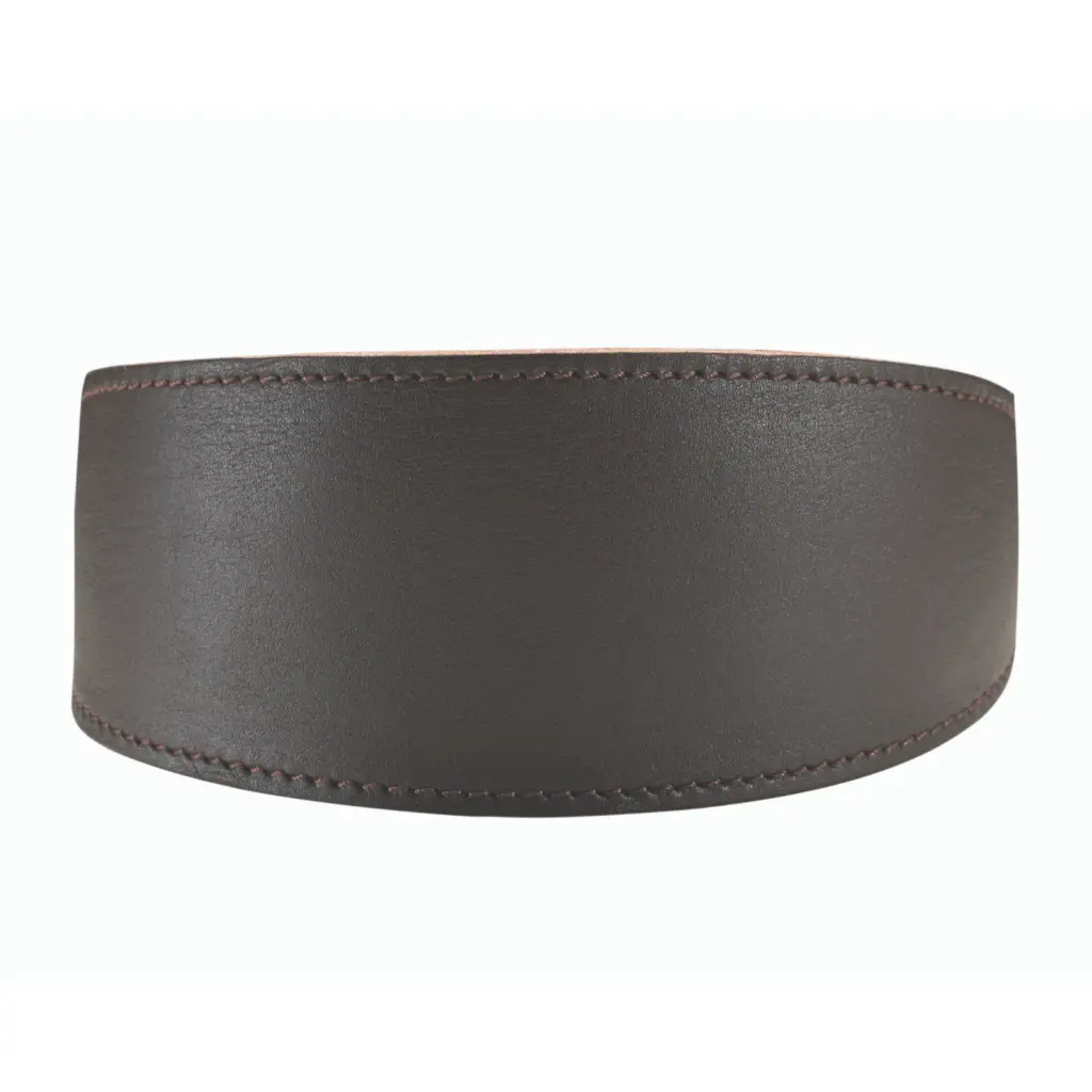 warm dog kennels - Professional Guide and Review