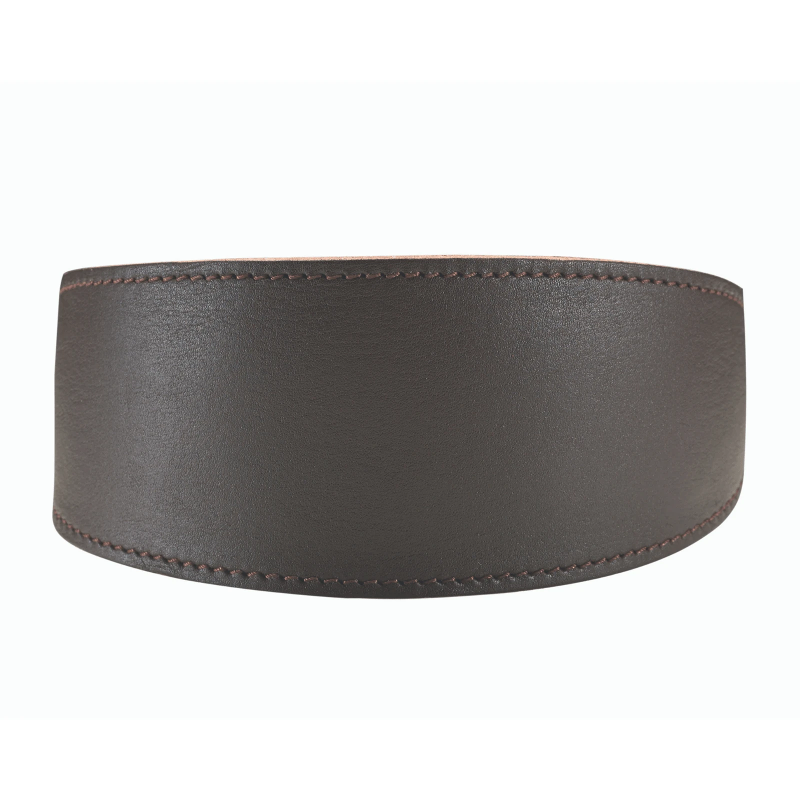 warm dog kennels - Professional Guide and Review