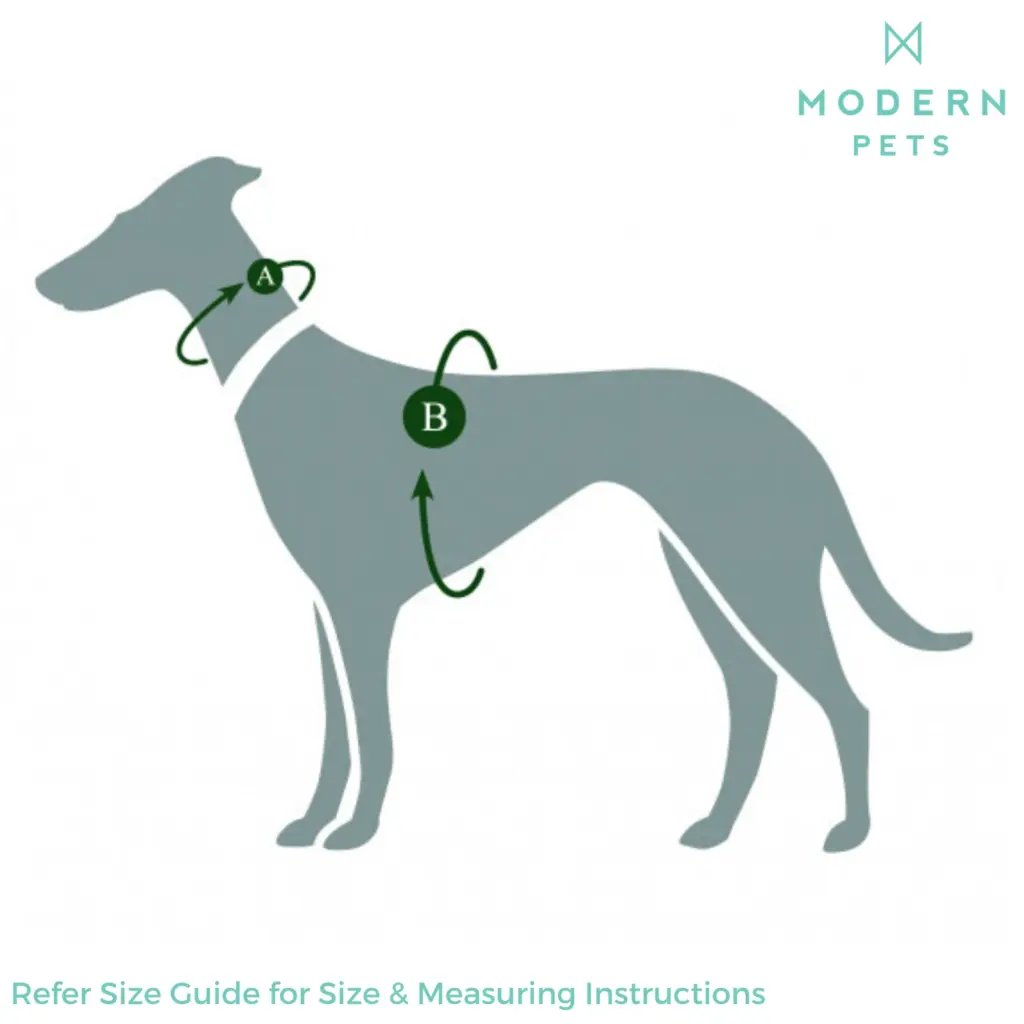 cat snacks online - Professional Guide and Review