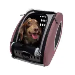 Ibiyaya EVA 5-in-1 Combo Pet Carrier, Pram & Backpack, Chocolate - Image 6