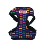 Personalised Pet Harness - Bones