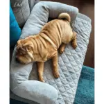 custom dog beds - Professional Guide and Review