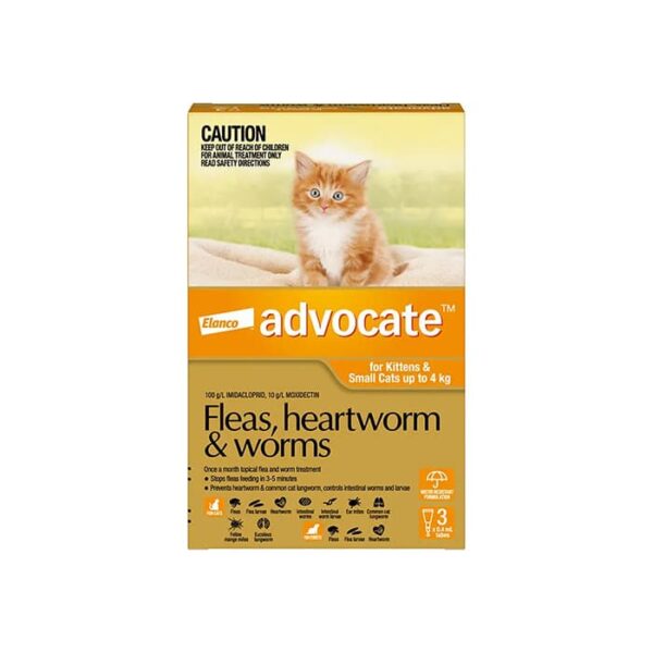 Advocate Orange For Small Cat