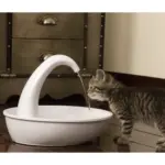 Pioneer Pet Swan Drinking Water Fountain - Image 8