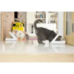 Surefeed Microchip Pet Feeder, Smart Feeding Bowl for Dogs & Cats - Image 9