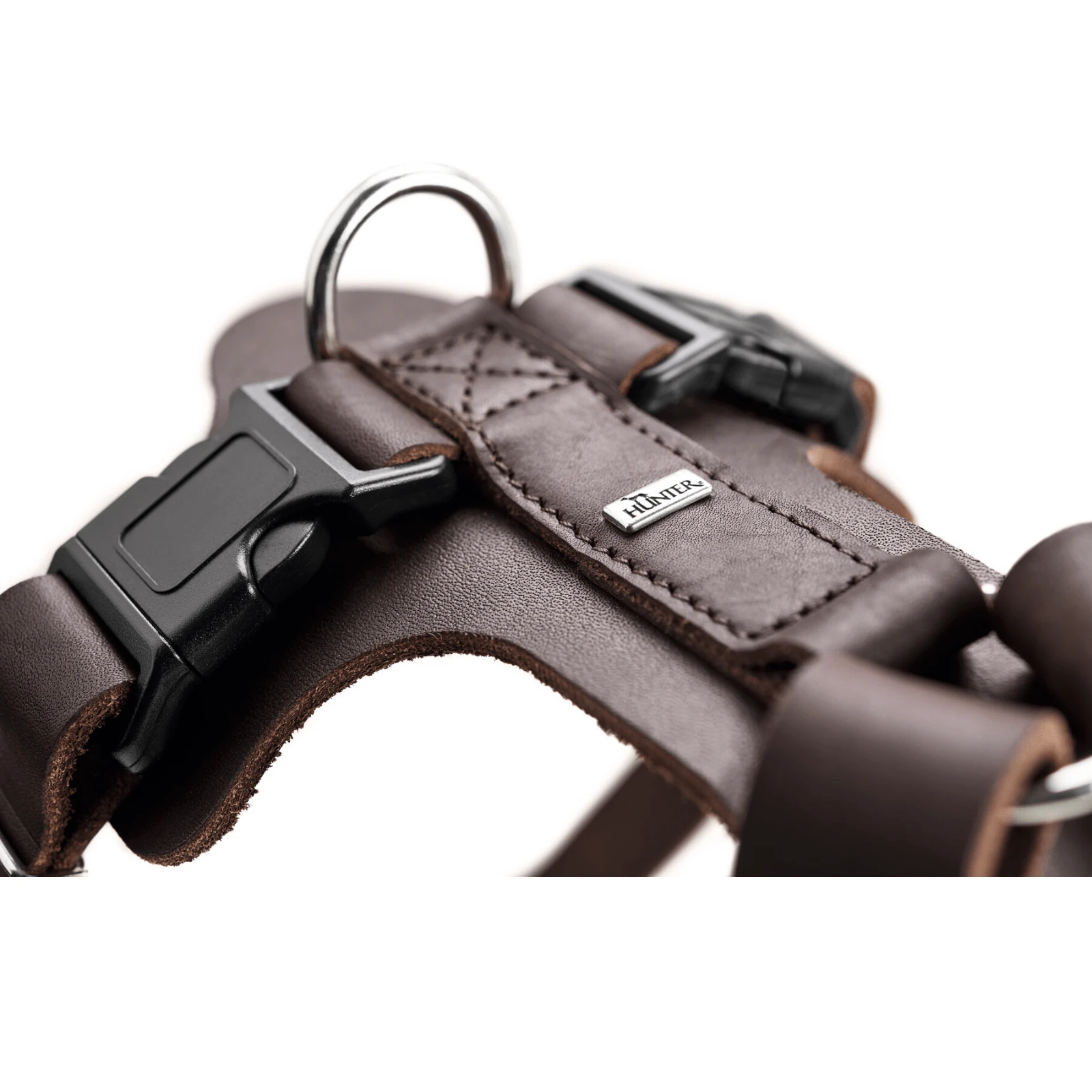 flirt poles for dogs display at Australian pet store showing price comparison