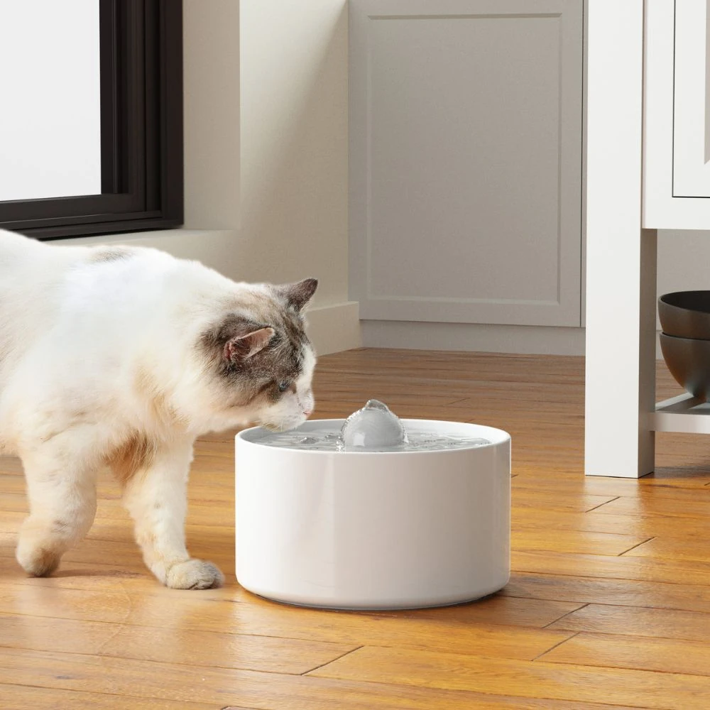 pw5-2_2000x.webp Ceraflow Ceramic Pet Drinking Fountain - Image 1
