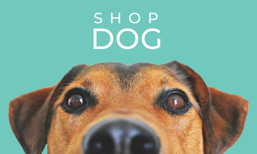 shop for dog