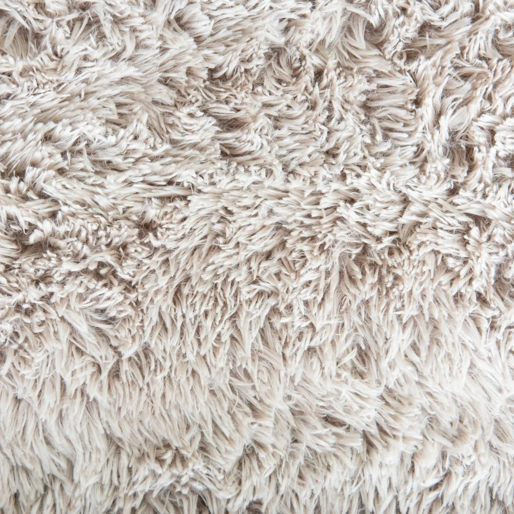 daily grooming routine for human bed with dog bed users