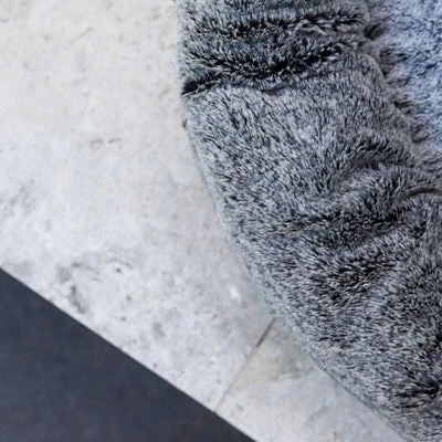 best dog leads - Professional Guide and Review