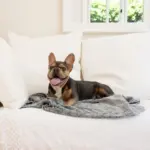 Calming Pet Blanket Water Resistant, Artic Faux Fur - Image 7