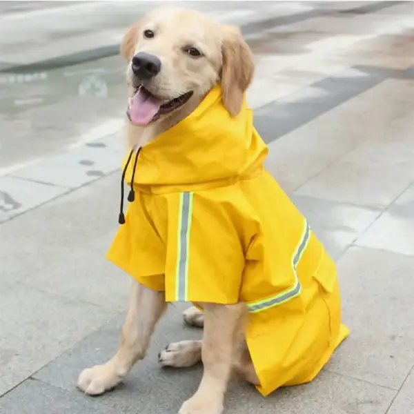 Canine rain gear