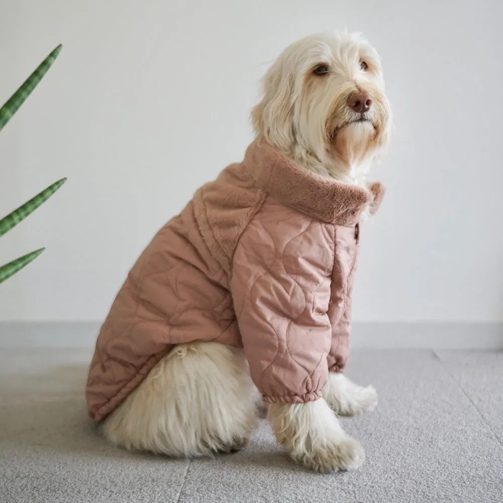 DSC03309 Dog Coat - Image 1