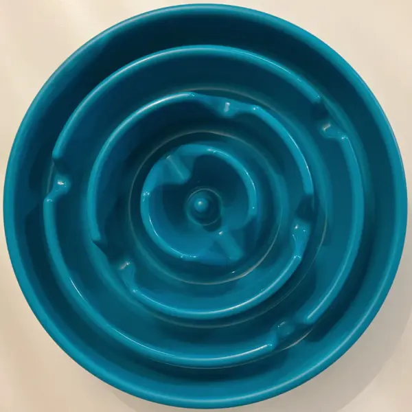 Slow feeder dog bowl