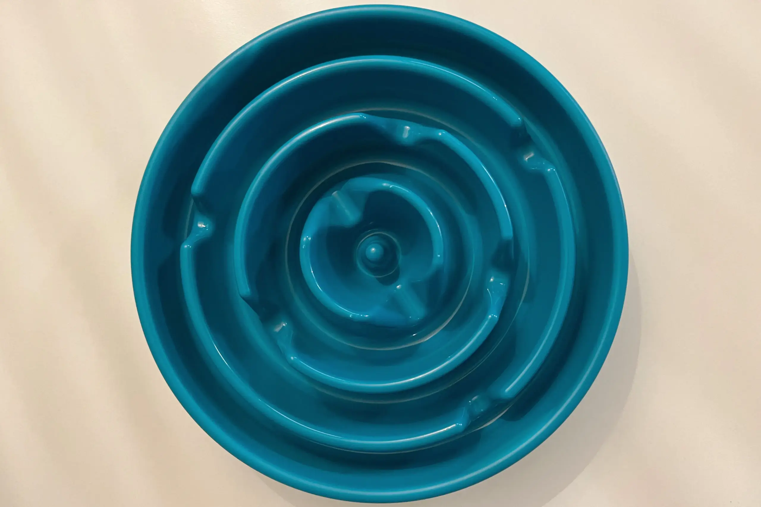 ant free pet bowl with slow-feed ridges and snap-off moat